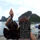 [베트남] 여시들 20대인데 자유여행 안다니고 뭐해???? 패키지 여행상품이나 알아보고 있는거야????? 이미지