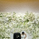 벨라 | 💍 W13. 대전 본식스냅추천 가성비업체 벨라스냅 본식후기