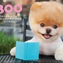 부BOO
