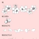 스튜디오;꽃