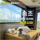 케렌시아 | 강원도 속초 애견동반 숙소 - 오션뷰 케렌시아 B동 606호 추천 후기