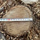 은평-036 이미지