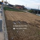 고성탑공인중개사사무소 이미지