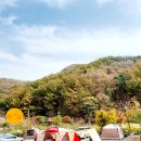 아담펜션&캠핑장 이미지