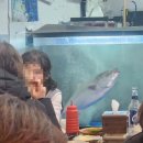 인천 작전동 횟집 &#39;회뜨는집&#39; 대방어회 광어회 맛집 추천 후기