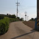 경기둘레길 안산49코스 이미지