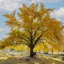 은행마을 이미지