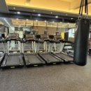 킹콩 복싱 아카데미 이미지