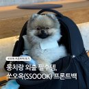 프론트백 | 쏘오옥(SSOOOK) 프론트백 내돈내산 후기 | 라지 vs XL 사이즈 추천