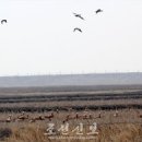 (주)신보유통