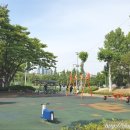 신트리공원(축구장) 이미지