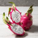 내아들농장 이미지