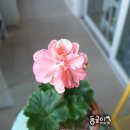 테드웍스