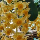 개화약국 이미지