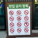 서안성농협공도지점공도로(큰길) | 안성팜랜드 핑크뮬리 코스모스 사진 잘 찍는 법 방문 시간 추천 체험목장 후기