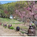 동부농장 이미지