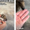 동욱농장 이미지