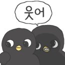 정가는짬뽕 - 공주시 우성길 41 | 정가는짬뽕
