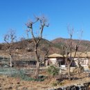 하늘과바다호텔 이미지