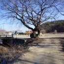 석일농장 이미지