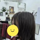 수니헤어