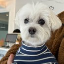 바라다 동물병원 이미지