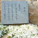 삼보석 - 양양군 양양로 76 | 삼보석