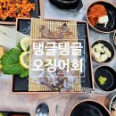 청춘회랑 | 광주 봉선동 횟집 청춘회랑에서 오징어회와 우럭매운탕 솔직 후기