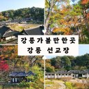 정담스테이 | 아름다운 가을 여행 강릉 가볼만한곳 선교장