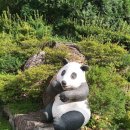 옹달샘펜션 이미지