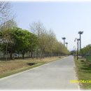 금호강4 이미지