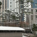 w jm 웨딩 대망의 본식 드레스 피팅 후기 | 천안점