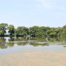 대봉1동행정복지센터 4층 이미지