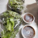 양이와 찬이네집 이미지