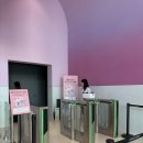 비주얼 샤워(Visual Shower) | [경북 경주] 경주 이색 실내데이트 &#34;코스믹 리조트&#34; 미디어 전시아트 솔직후기