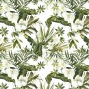 색연필로 그리는 꽃, 보태니컬 아트 이미지