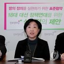 심상정 카카오 검색결과