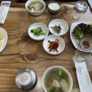 고빈정 네이버블로그