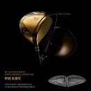 의령골프연습장 | 함안 의령 골프샵 마제스티보다 잘나가는 다이와 드라이버