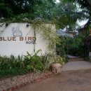 블루버드 호텔 이미지