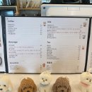 강아지놀이터 이미지