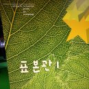 모두의곤충 이미지
