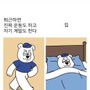 7월 17일 ~ 내 일상 살이 찐 건 그냥 추억이 내 몸에 붙었다고 생각하기로 함