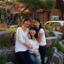 로그하우스 이미지