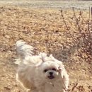 독한마캣 이미지