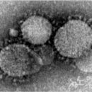 부연목장 이미지