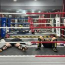 프뉴마 킥복싱, 태권도 이미지