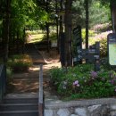 철쭉동산 이미지