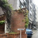 서초대로 141-9 | W11. 모드니 촬영용 드레스 5벌 피팅 후기(+피팅 전 꿀팁)