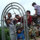 판교초교 이미지